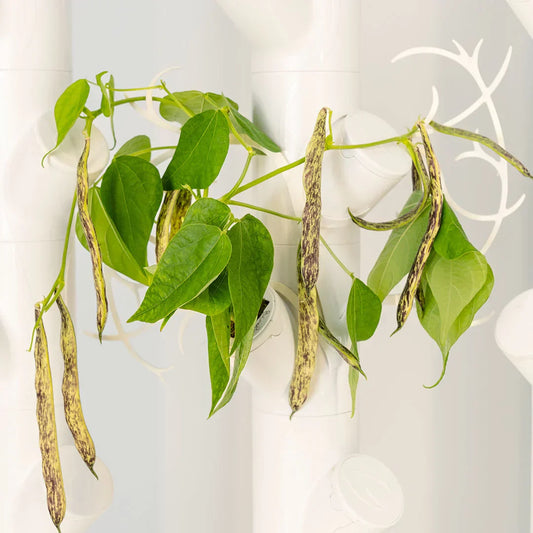 Realistic artificial artificial plant plant with vase for modern home decor